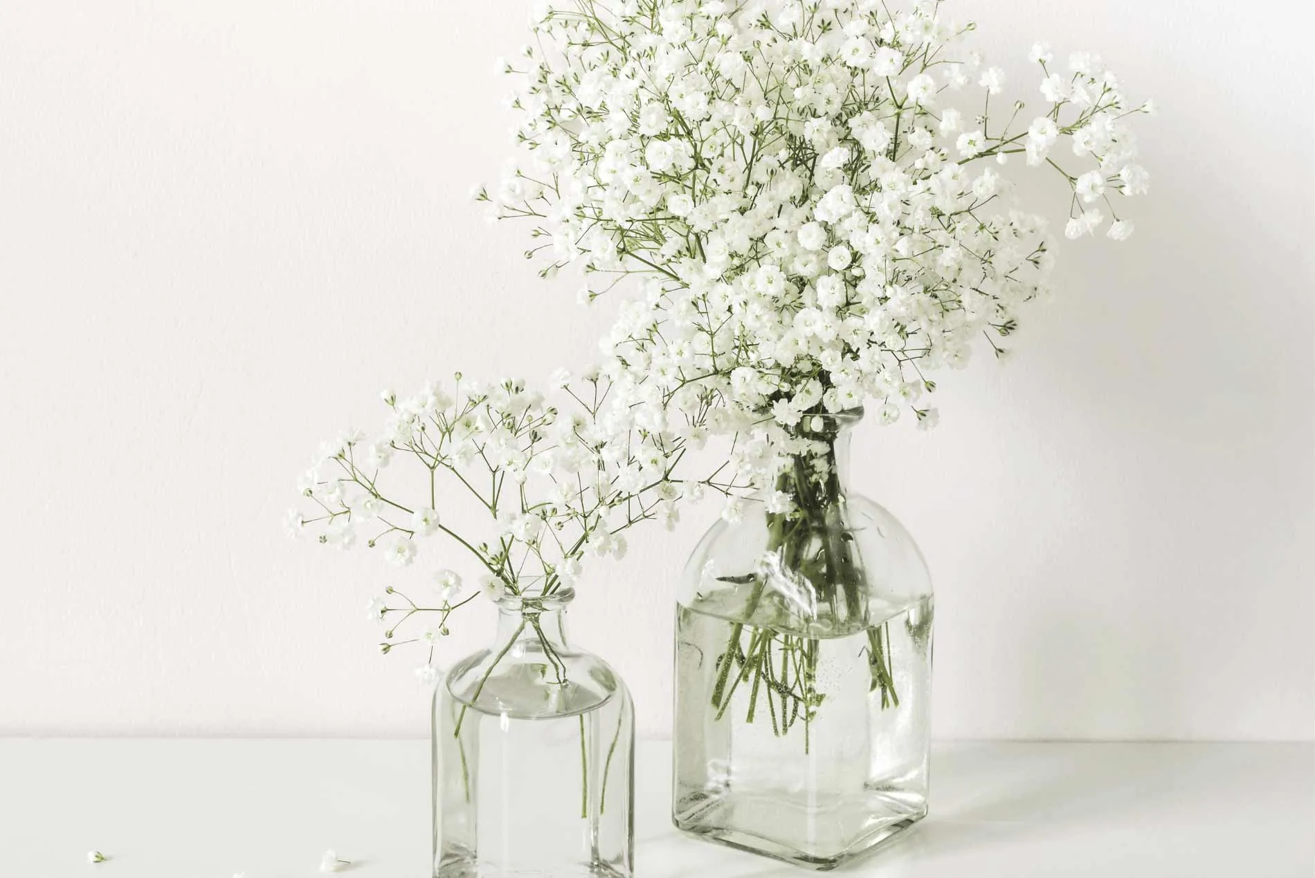 Un salon de coiffure naturel à Loupershouse : Le Miroir